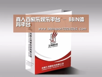 项目名称十三