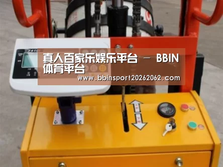 BBIN真人案例展示三