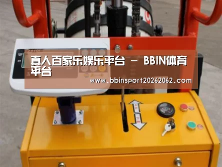 BBIN真人案例展示三(图1)