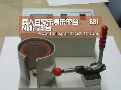 BBIN真人案例展示六