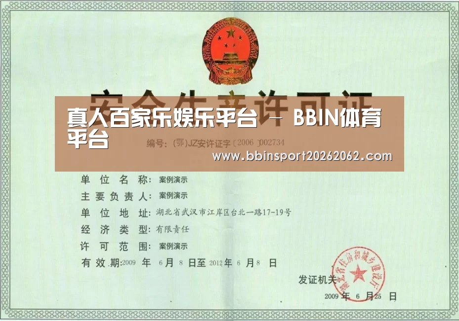 BBIN真人荣誉证书三(图1)