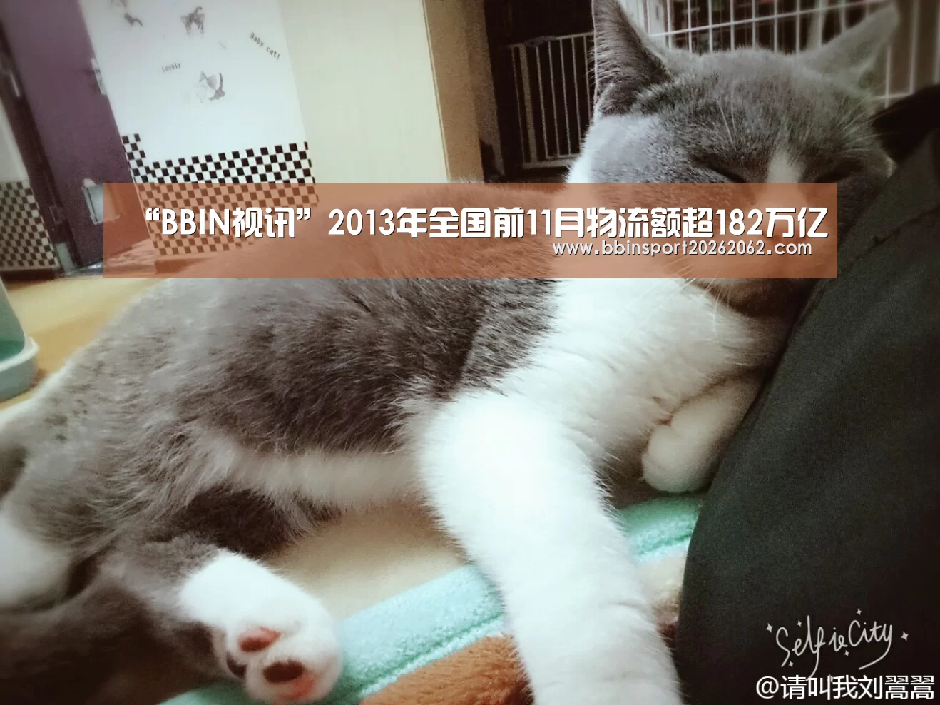 “BBIN视讯”2013年全国前11月物流额超182万亿(图2) BBIN捕鱼
