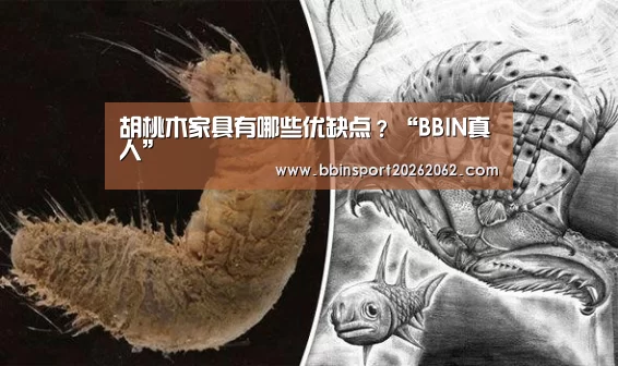 胡桃木家具有哪些优缺点?“BBIN真人”(图3) BBIN捕鱼
