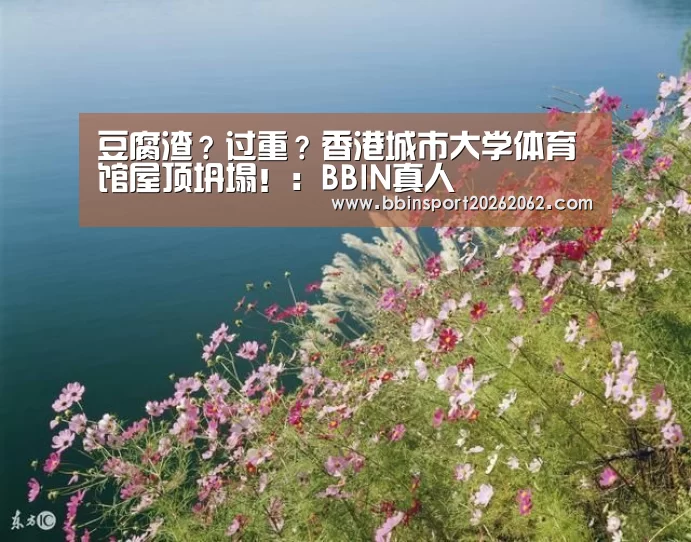 豆腐渣?过重?香港城市大学体育馆屋顶坍塌!:BBIN真人(图1) BBIN真人