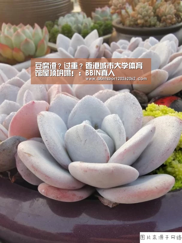 豆腐渣?过重?香港城市大学体育馆屋顶坍塌!:BBIN真人(图4) BBIN国际厅