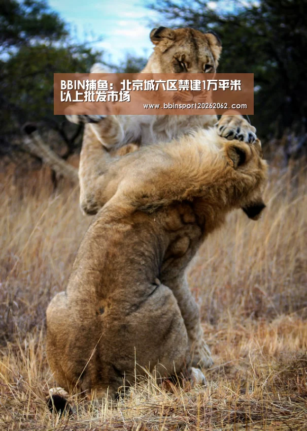 BBIN捕鱼:北京城六区禁建1万平米以上批发市场(图3) BBIN真人
