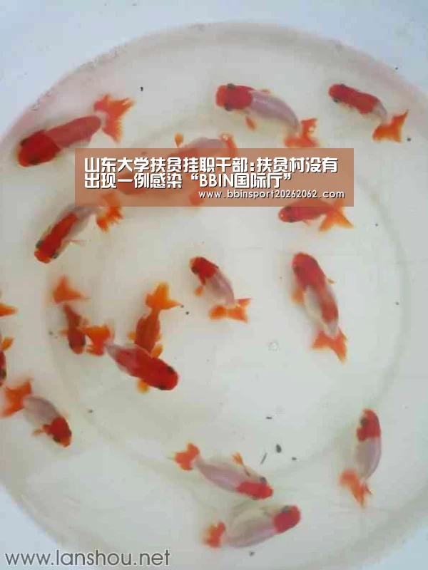山东大学扶贫挂职干部:扶贫村没有出现一例感染“BBIN国际厅”(图1) BBIN捕鱼