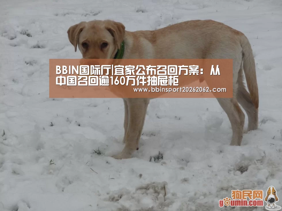 BBIN视讯